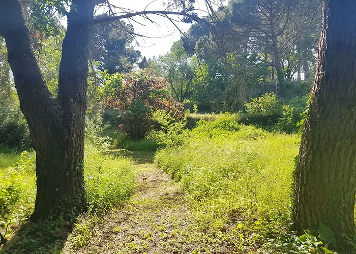 Mas Des Ballats Saint-Bauzille-de-Putois